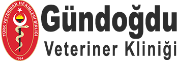 Gündoğdu Veteriner Kliniği